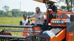 Capaian Fenomenal Indonesia di Sektor Pertanian: Prabowo Subianto Pamerkan Lonjakan Produksi Beras dan Jagung di SPIEF 2025