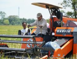 Capaian Fenomenal Indonesia di Sektor Pertanian: Prabowo Subianto Pamerkan Lonjakan Produksi Beras dan Jagung di SPIEF 2025